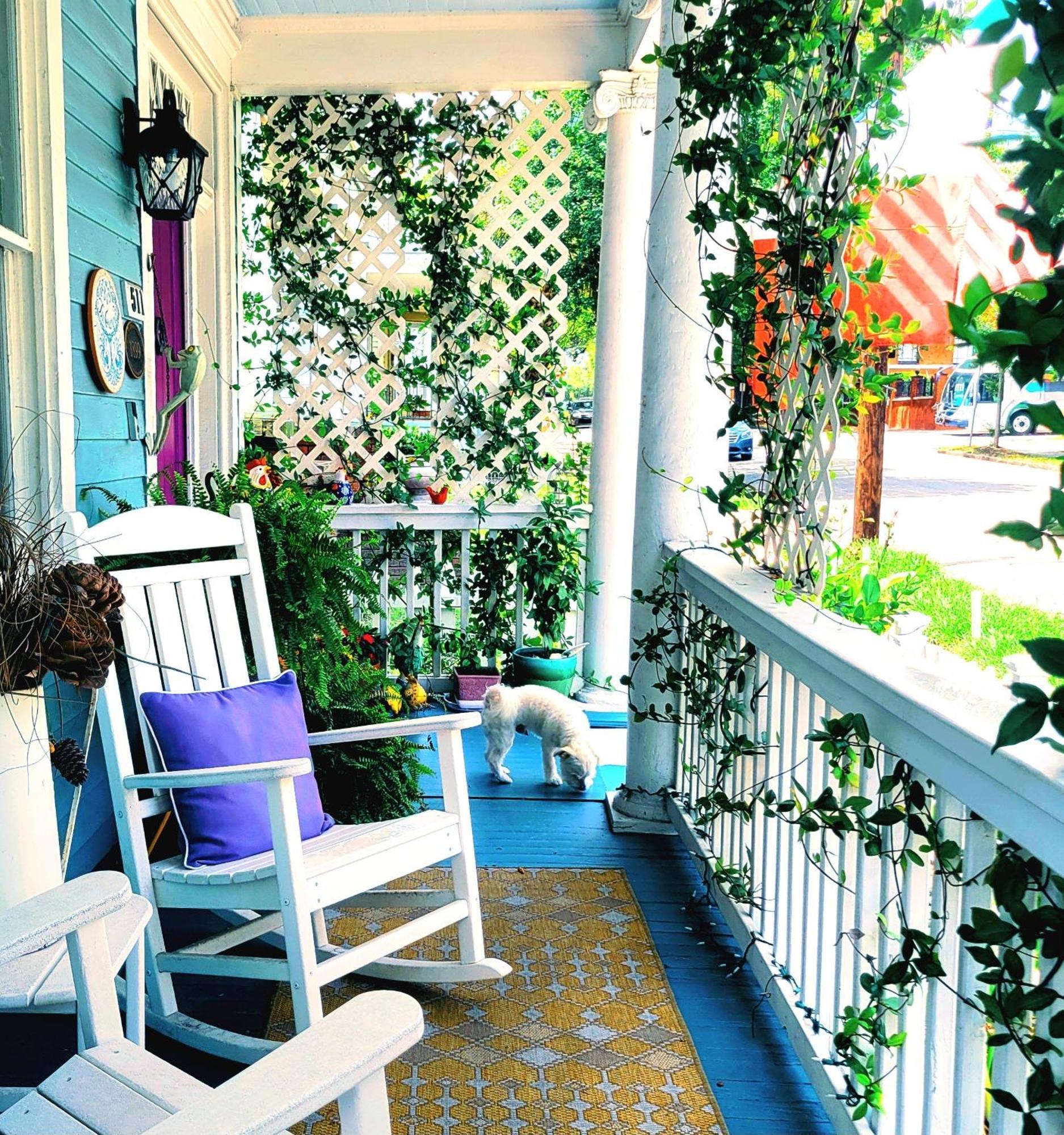 B&B Zia Gianna Savannah Ngoại thất bức ảnh